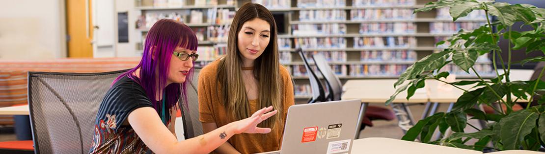 Two students discuss a computer document in a student lounge in a Pima campus library